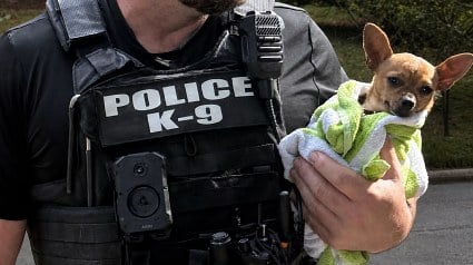 Illustration : Officer uses his own water to rinse bleach from stolen dog found in car