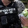 Illustration : Officer uses his own water to rinse bleach from stolen dog found in car