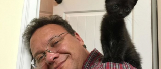 Illustration : "20 people who claimed they didn't like cats, only to find themselves adopting one!"