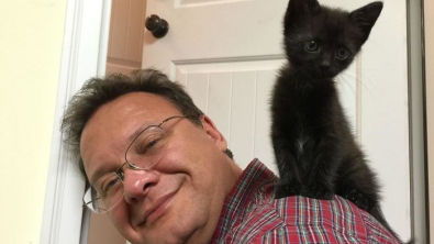 Illustration : 20 people who claimed they didn't like cats, only to find themselves adopting one!