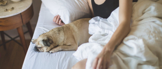 Illustration : "According to this study, women sleep better when they curl up next to a dog"