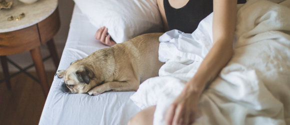 Illustration : "According to this study, women sleep better when they curl up next to a dog"