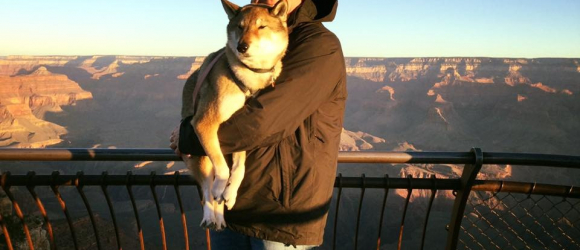 Illustration : "After discovering that his beloved dog had cancer, this man decided to take her on an amazing road trip!"
