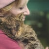 Illustration : A poorly cat that nobody wanted to touch finally received his first long-awaited hug