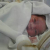 Illustration : A baby abandoned in a sewer was saved thanks to a dog that wouldn't stop barking