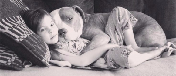 Illustration : "19 signs that prove our dogs are the centre of our universe"