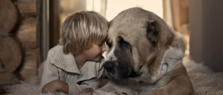 Illustration : "26 touching photos of kids with their dogs"