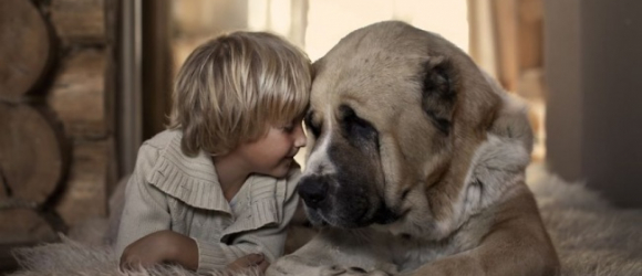 Illustration : "26 touching photos of kids with their dogs"