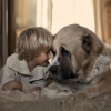 Illustration : 26 touching photos of kids with their dogs