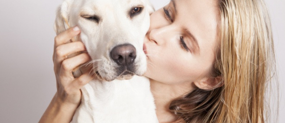 Illustration : "12 things that owners do which drive their dogs crazy"